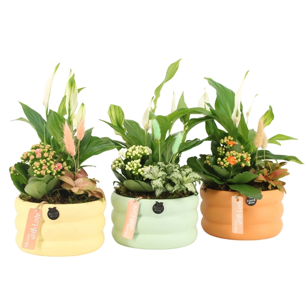 <h4>11524: Soft sculpture arrangement</h4>