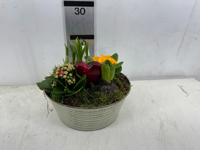 <h4>ARR PL IN SCHAAL</h4>