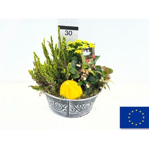 ARR TUINPLANTEN