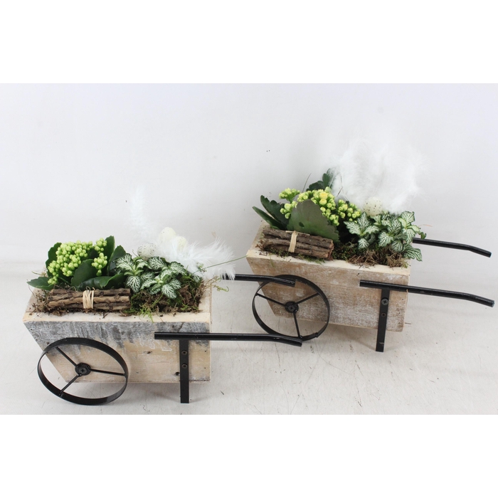 <h4>Arr2 Td - Hout Handkar - Geel/wit</h4>