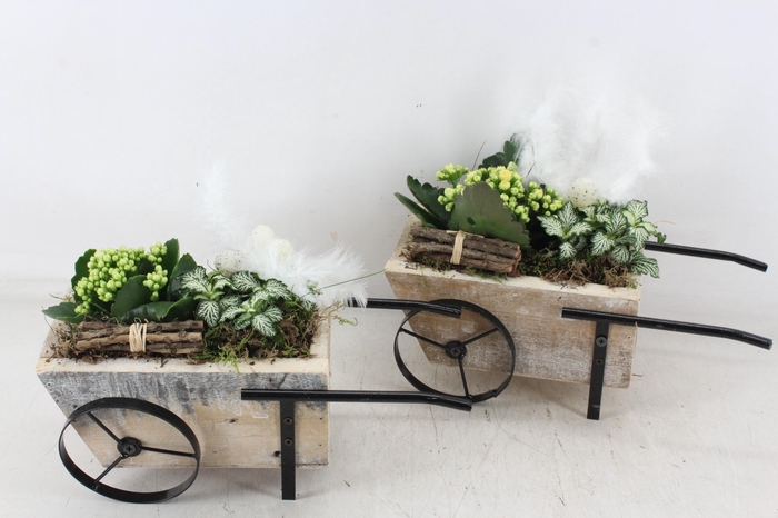 <h4>arr2 TD - Hout handkar - geel/wit</h4>