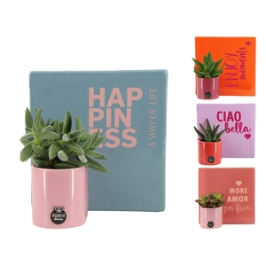 22013: Lovess arrangement