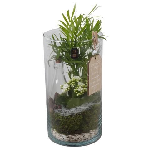 <h4>PTIG2675 Arrangement Indoor in glazen vaas</h4>
