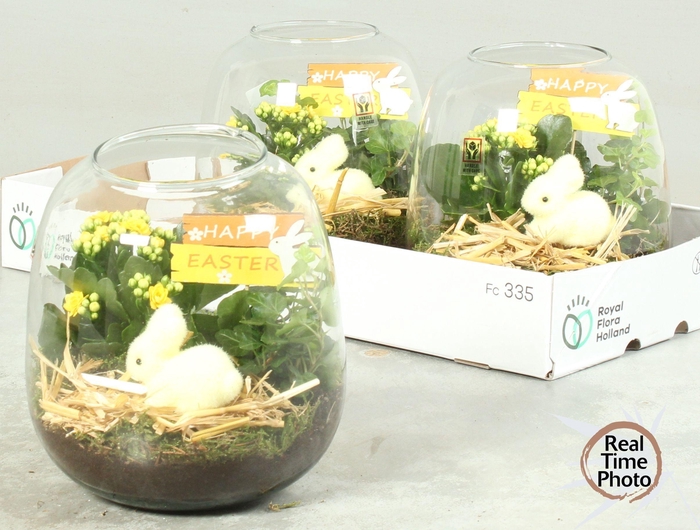 <h4>ARR KAMERPL</h4>