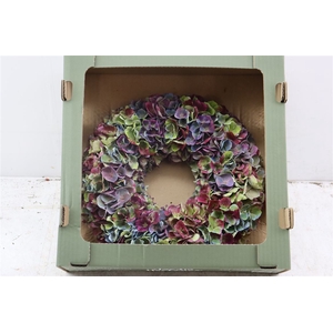 Wr Hydrangea Amethyst 35cm