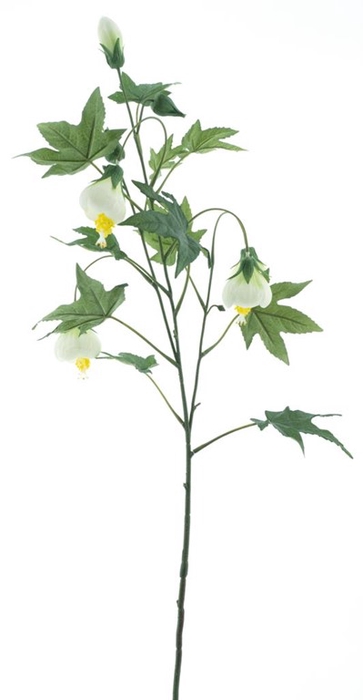 <h4>Laburnum spray white 81cm</h4>