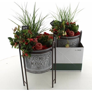 ARR TUINPLANTEN