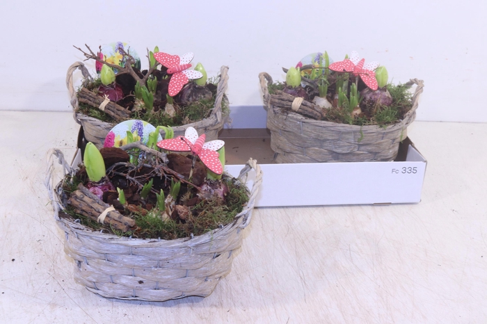 <h4>ARR BOL KNOLGEWAS</h4>