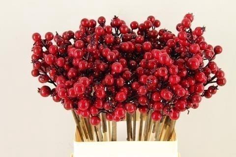 <h4>Stick berries rose hips red</h4>