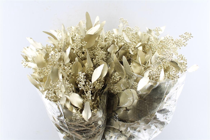 Euca Populus Berry Metal Platinum