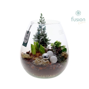 Green Bottle Abby XLarge Kerst met arrangement