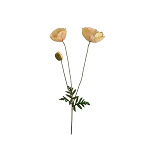 AF Papaver L75cm L.Peach