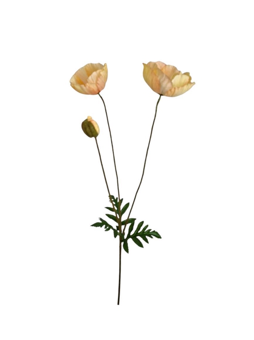<h4>AF Papaver L75cm L.Peach</h4>