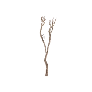 Syringa Branch Extra Kremenliev