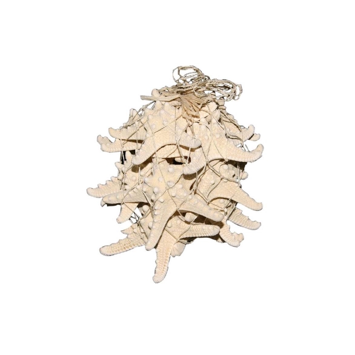<h4>Zeester Knobby 12-15cm</h4>