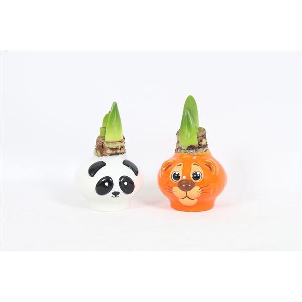 <h4>Hipp Waxz Wildlife Mix</h4>