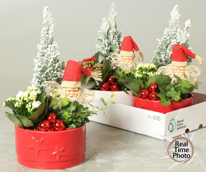 <h4>ARR KAMERPL</h4>