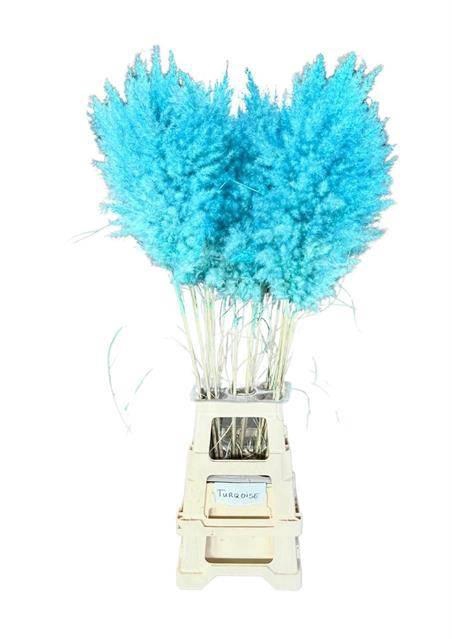 <h4>DF Pampas 115cm Light Blue</h4>
