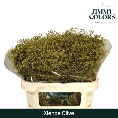 <h4>Gyps Xlence l70 Olive</h4>