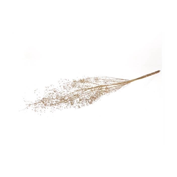 <h4>Bunch Gyps L55cm</h4>