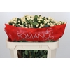 Hypericum Cool Romance Spray