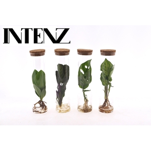 Mix in tube glas