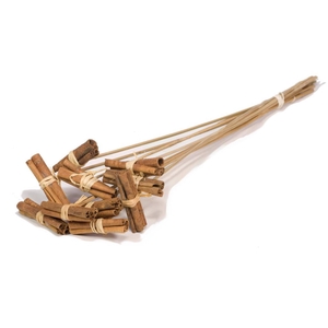 Cinnamon 8cm Posy O/s 10pc Natural