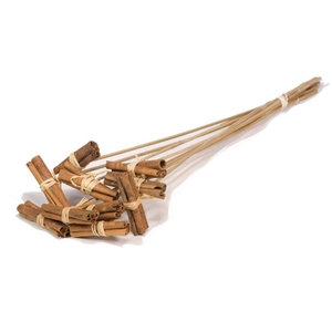 Cinnamon 8cm Posy O/s 10pc Natural