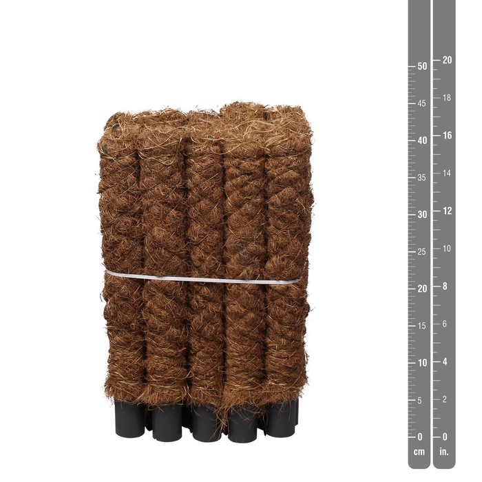 <h4>Mosstok Opzetstuk 12 per bundel</h4>