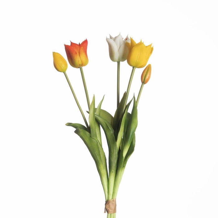 <h4>AF Tulip Bundle x5 L45cm Mix Y</h4>