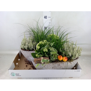Arr.   Tuinplanten L%