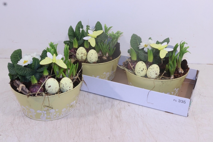 <h4>ARR TUINPLANTEN</h4>