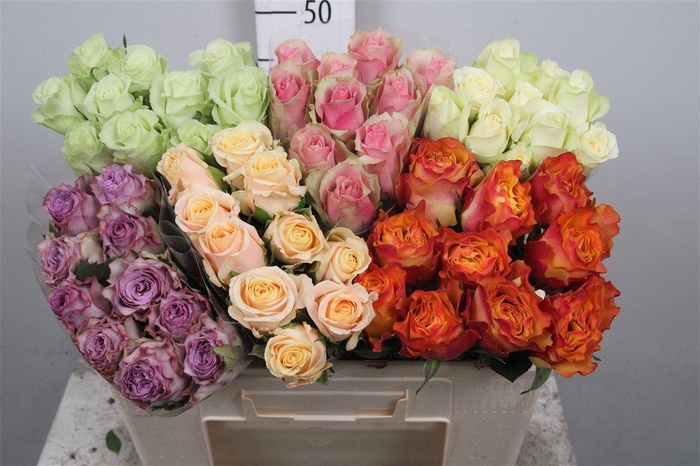 <h4>R Gr Gemengd In Fust</h4>