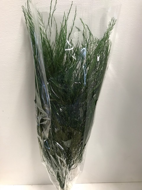 Asparagus groen