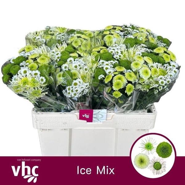 <h4>CHR SAN GEM ICE MIX</h4>