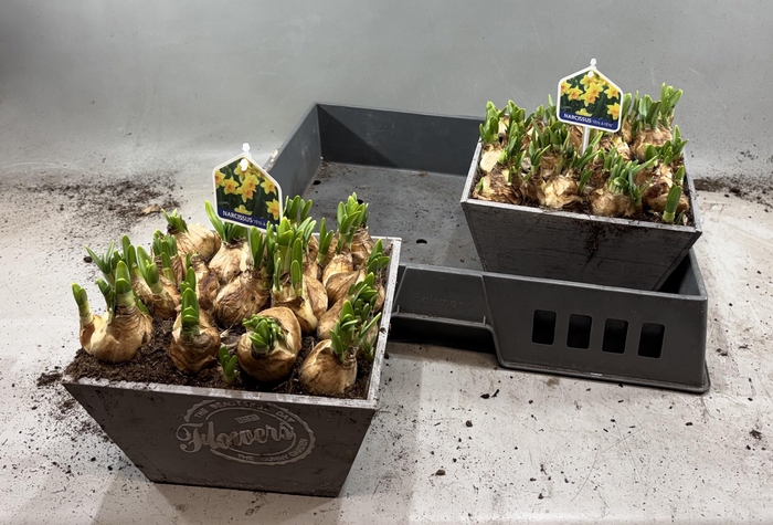 <h4>ARR N TETE A TETE</h4>