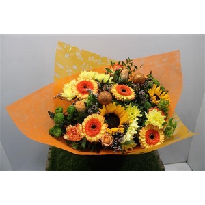 Gem Boe Groot Oranje 35 Stele Vers