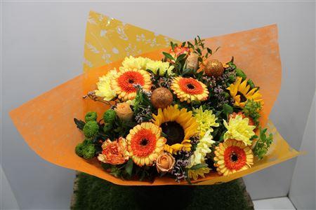 <h4>Gem Boe Groot Oranje 35 Stele Vers</h4>