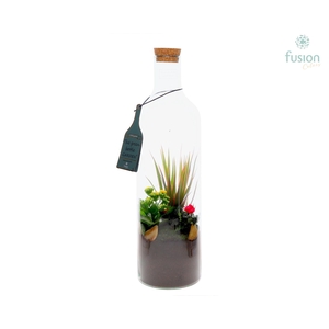 Green Bottle Fles Large met Arrangement