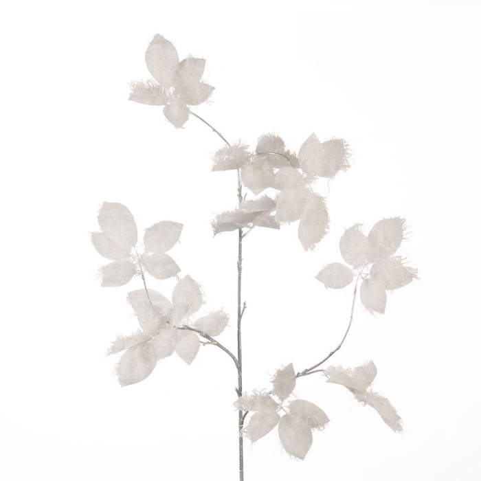 <h4>AF Schefflera Spray Pudd L128</h4>