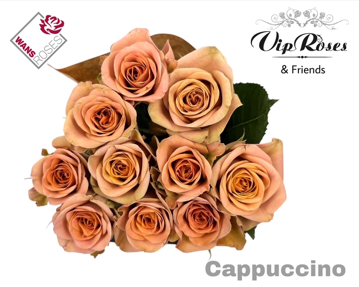 R GR CAPPUCCINO