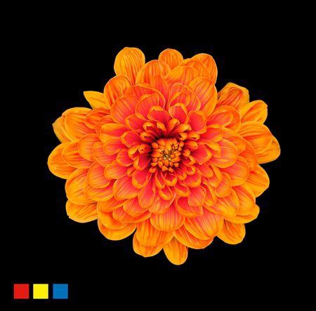 <h4>Chr T Altaj Roma</h4>