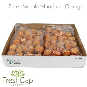 Dried Whole Mandarin Orange