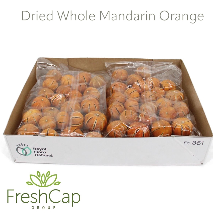 <h4>Dried Whole Mandarin Orange</h4>