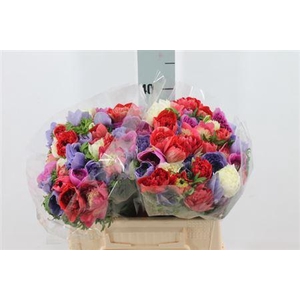 Anemoon Carillon Mix Double