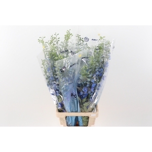 Delph Du C Bl Shades 90cm