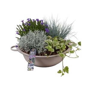 PTSO8341 Arrangement Summer Outdoor in metalen schaal