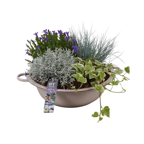 <h4>PTSO8341 Arrangement Summer Outdoor in metalen schaal</h4>