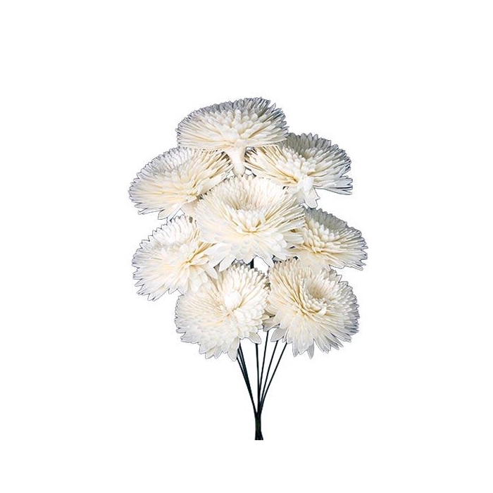 <h4>Bunch Crisantemo D10 8pcs</h4>