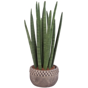 Sansevieria Cylin, Straight 14 Leaf Ø15cm in Ø19cm Ceramic EV665